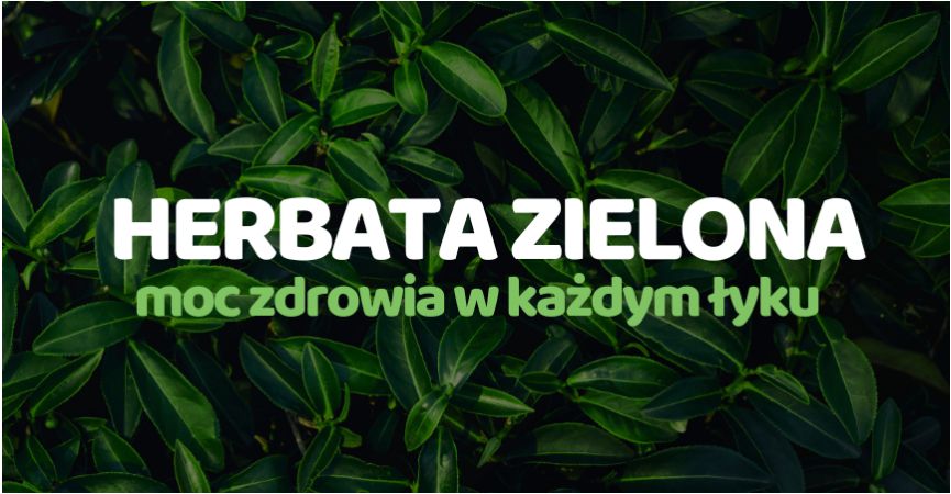 Zielona Herbata – Moc zdrowia w każdym łyku