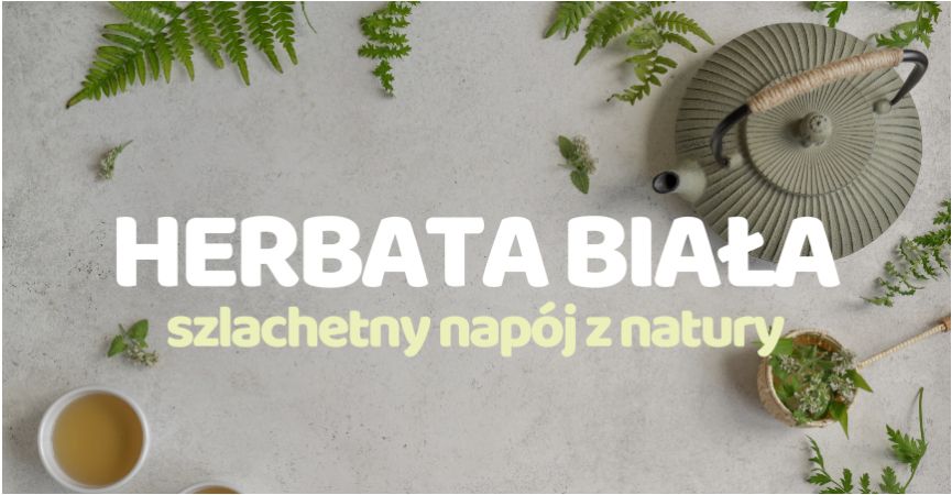 Herbata biała – Szlachetny Napój z Natury