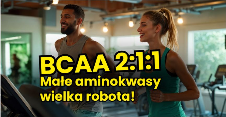 BCAA 2:1:1 – Najlepsze aminokwasy rozgałęzione dla mięśni i regeneracji
