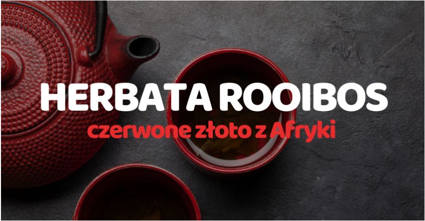 Rooibos – Czerwone Złoto z Afryki i Naturalne Źródło Zdrowia