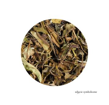 HERBATA BIAŁA DUCH POŁUDNIA 150G