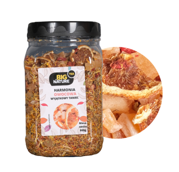 HERBATA OWOCOWA WYJĄTKOWY TANIEC 800G