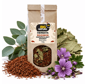Herbata ROOIBOS ORZEŹWIAJĄCY MOMENT 100g