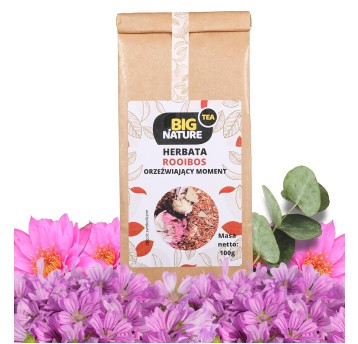 Herbata ROOIBOS ORZEŹWIAJĄCY MOMENT 100g
