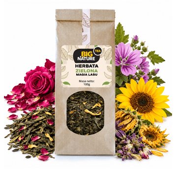 Herbata zielona MAGIA LASU 100g
