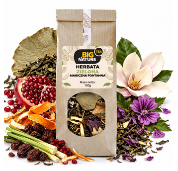 Herbata zielona MAGICZNA FONTANNA 100g