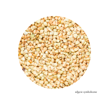 KASZA GRYCZANA NIEPALONA BIO 5KG