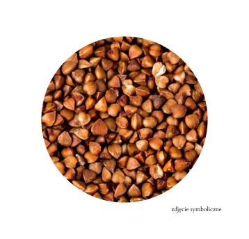 KASZA GRYCZANA PALONA BIO 5KG