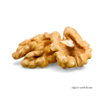 ORZECH WŁOSKI ŁUSKANY 20KG