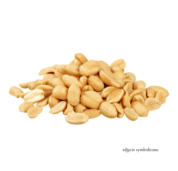 ORZECHY ZIEMNE PRAŻONE NIESOLONE POŁÓWKI 20KG