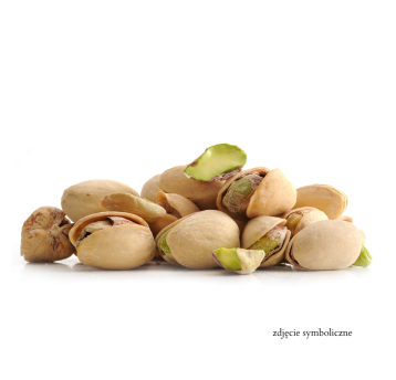 PISTACJE PRAŻONE SOLONE 10KG