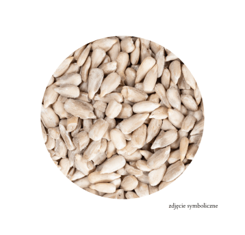 SŁONECZNIK ŁUSKANY 25KG