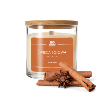Świeca soj. zap. CYNAMON 150g