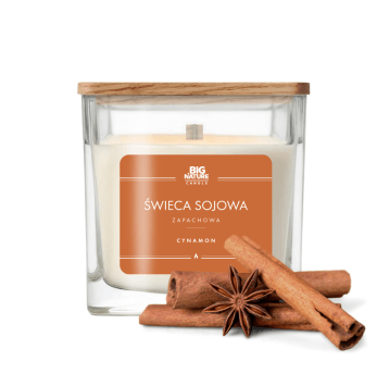 Świeca soj. zap. CYNAMON 450g