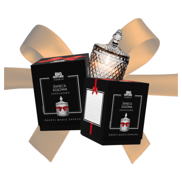 Świeca soj. zap. CYNAMON 485g PREZENT