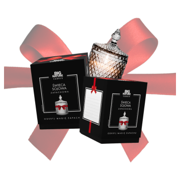 Świeca soj zap. insp. DIOR FAHRENHEIT 485g PREZENT