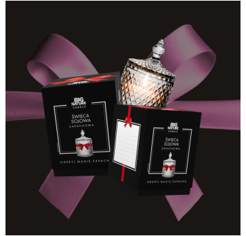 Świeca soj. zap. insp. MADEMOISELLE 115g PREZENT