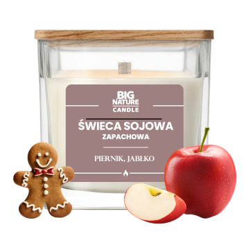 Świeca soj. zap. PIERNIK-JABŁKO 220g