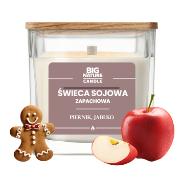 Świeca soj. zap. PIERNIK-JABŁKO 220g