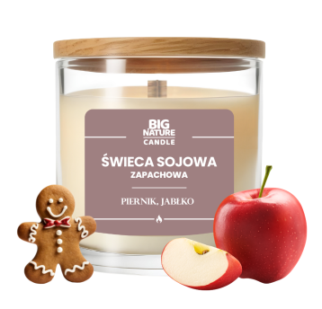 Świeca soj. zap. PIERNIK-JABŁKO 225g