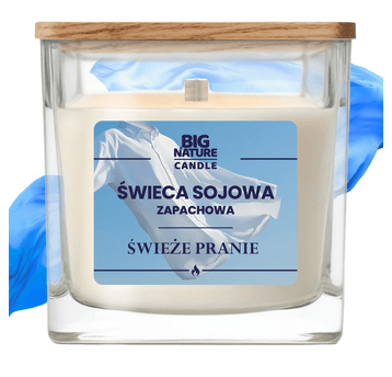 Świeca soj. zap. ŚWIEŻE PRANIE 220g
