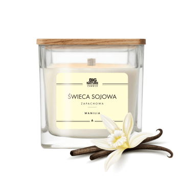 Świeca soj. zap. WANILIA 450g