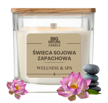Świeca soj. zap. WELLNESS & SPA 220g
