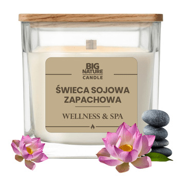 Świeca soj. zap. WELLNESS & SPA 220g